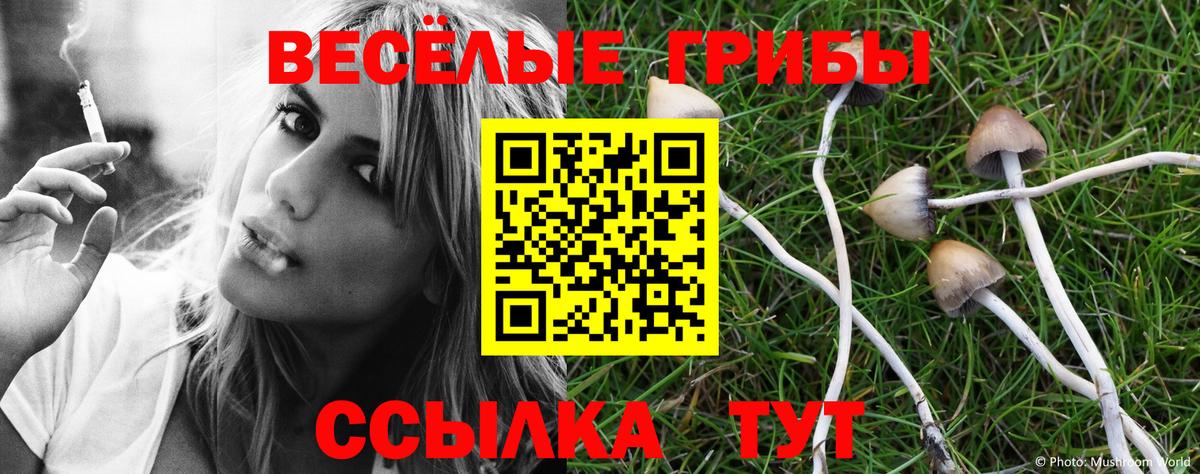 Галлюциногенные грибы Psilocybine cubensis  Вход с VPN  Лысьва 