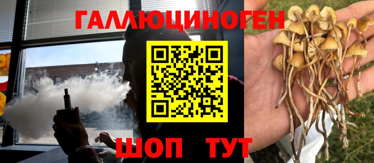 Псилоцибиновые грибы Magic Shrooms Лысьва